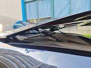 [Hot Item] Customized Dynamic Groove Gas Strut, Damping Groove Gas Spring