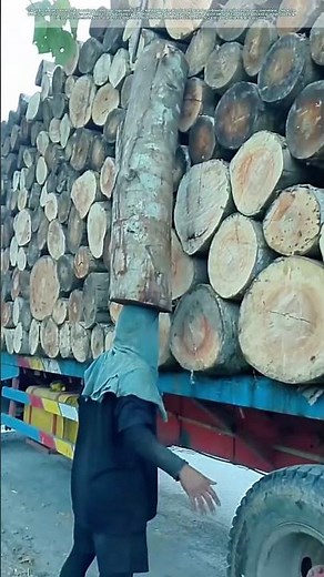 Lumberjacks in Action: How Teamwork Moves Mountains of Wood