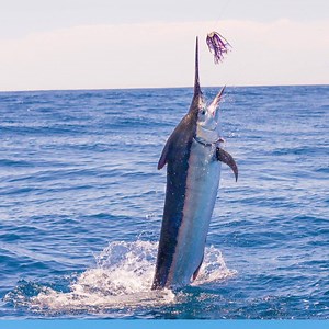 To design the tallest building in the world, you have to think outside the ocean. | I am an Architect