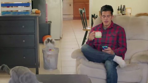 Sneaky cat finds clever way to sneak a cheat snack