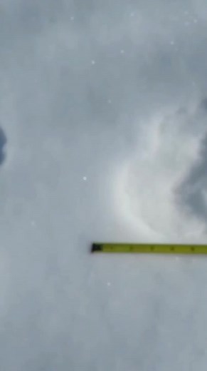 28K views · 683 reactions | Cave Spring Bigfoot encounter by couple scouting for deer #skunkape #bigfoot | Rocky Mountain Sasquatch Organization | Facebook