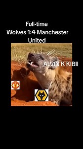 FULL-TIME AT MOLINEUX STADIUM Wolverhampton 1:4 Manchester United Wolves can't beat Manchester United 🤣🤣🤣🤣🤣🤣 #football #footballseason #manchesterunited #wolverhampton #AstonVilla #tottenhamhotspur #Liverpool #ManchesterCity #weekendvibes #oldtrafford #Everton #LeedsUnited #Chelsea #Arsenal | Alvin K Kibii