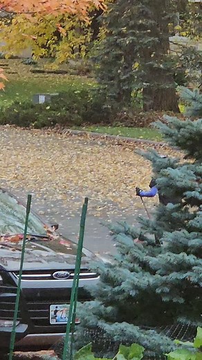 Like Father like daughter! | Thomas Pearce