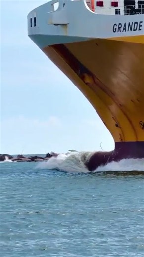 This Giant Ship Creates a MASSIVE Wave! 🚢🌊 | Grande Cameroon