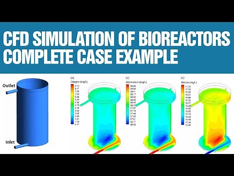 Bioreactor simulations with Computational Fluid Dynamics (CFD)
