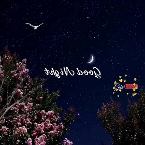 Good Night❤ | Gifs & Music