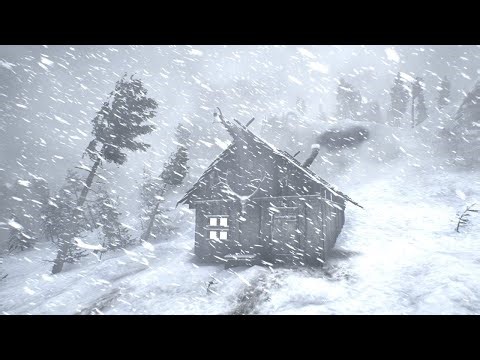 FROZEN ARCTIC SILENCE | Deep Blizzard Sounds and Freezing Winds for Sleep 2025
