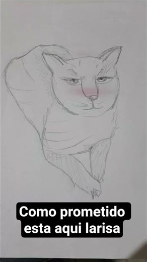 11 de março de 2026