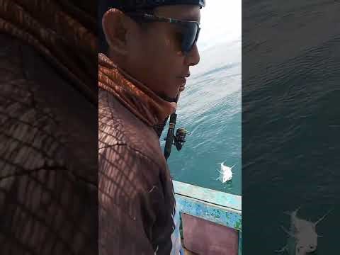 Ebek kapmer microjig Pasuruan trip hore #mancing mania