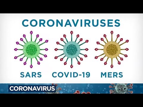 Coronavirus: What does COVID-19 do to your body and why does it spread so easily?