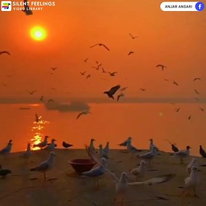 105K views · 10K reactions | Hum ko pyar huwa  | Silent Feelingsツ | Facebook