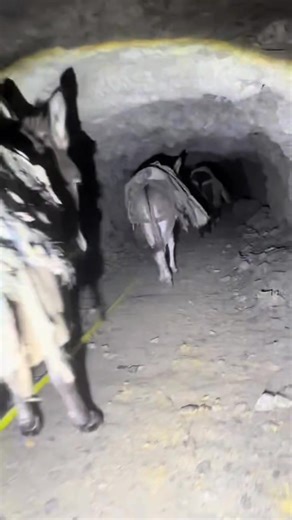 Underground process of Coal Mining ⛏️⛏️😀😀 | Mining Legends