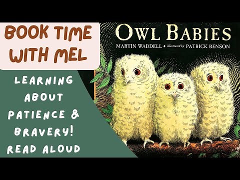 Owl Babies ~Read Aloud