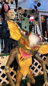 Join us this Friday night at 6:00 pm for a FREE Halloween Block Party in front of the iconic Oakwood Halloween House! 🎃 Get ready for Raleigh’s biggest Halloween celebration — with your favorite horror icons, costume contests for adults and kids, and plenty of spooktacular fun. 👻 All we ask is that you bring a non-perishable food item to donate to Feed the Pack, NC State’s student-led food pantry. Drop donations in the red bins anytime. 🎈504 Oakwood Ave | Raleigh Downtown