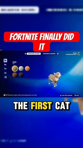 Fortnite Actually Added a Cat to the Game! #fortnite #shorts #showcase #fortniteitemshop