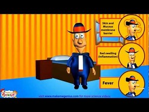 Immune System - Human Organ systems for kids