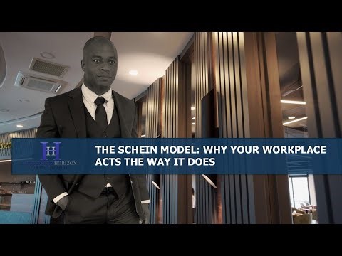 The Schein Model Why Your Workplace Acts the Way It Does