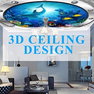 157K views · 217 reactions | If a Ceiling is like this, Flaunting would be so much fun! #3DCeiling | Homebliss | Facebook