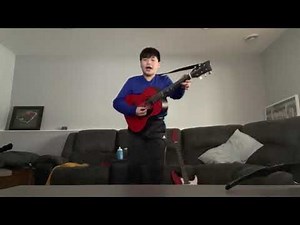 The wiggles live in concert