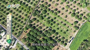 28K views · 2.3K reactions | #文末有抽獎 臺灣夏有颱風、冬有寒流，...