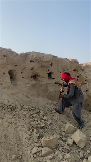 How to Safely Remove a Snake from Your Home