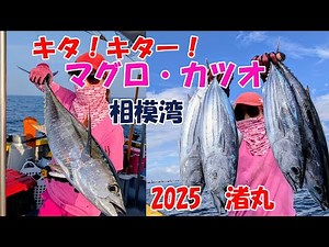 Tuna and bonito season has begun in Sagami Bay!