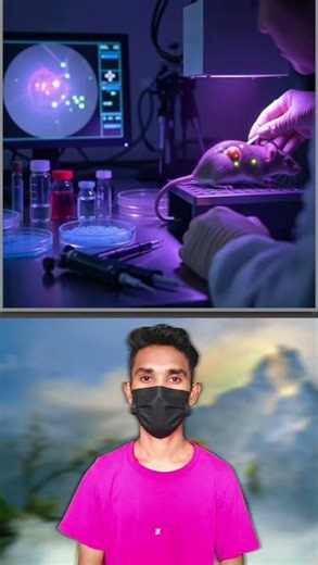 चूहों पर experiment 🧪 🐁 Facts in hindi #facts #shorts #shortsfeed