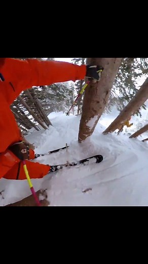 A Lot Of Snow To The Face at Alta, UT Yesterday! Snow to the face bia 3 major transport systems: 1. Face shots 2. Friends Spraying Snow Into My Face 3. Crashing Extremely Hard And Stuff Snow Down My Own Throat Yesterday was an unforgettable day at Alta. The 86" storm total completely changed this mountain... Thanks, Utah! 🏄‍♂️ @miles_clark 🎿 @scottsportsusa @scottfreeski 🧤 @lekiusa 🧥 @elevenate 🦶 @intuitionsports 🦵 @live.momentous | SnowBrains