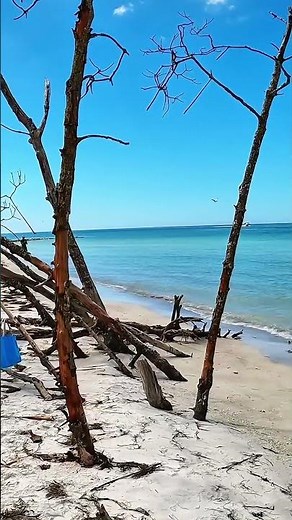 This Sandbar Doesn't Exist on Most Maps #florida #hidden #travel