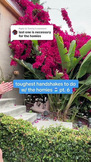 Replying to @Tommy last one hits different every single time with the homies 💯 #handshakes #thepointerbrothers