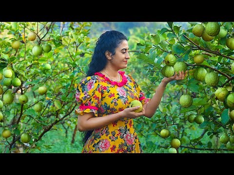 Guava Delights (Sri Lankan Recipes) 🍐 Making Cordial, Cotton Candy, Creamy Cake, and More Treats!