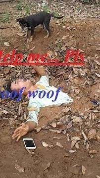 The boy is stuck in quicksand to try the dog's hear, full version 2019