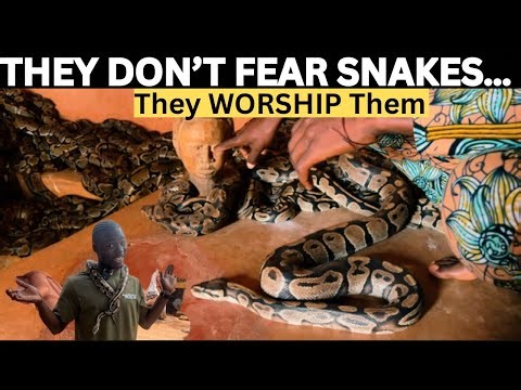 Inside the Mysterious Village That Worships Pythons in Benin Republic 🐍🇧🇯 | Untold African Secrets