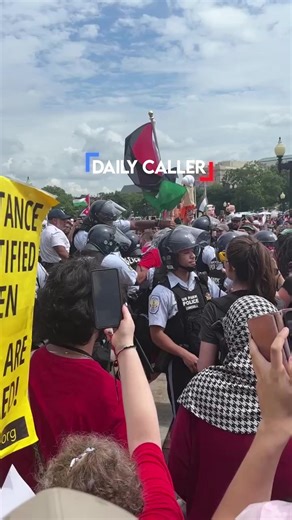 WATCH: Police CLASH with anti-Israel protesters after they take down American flag | The Daily Caller