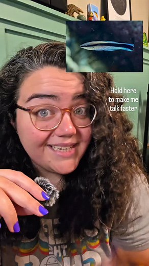 Even fish can get a little self conscious sometimes #animals #animalfacts #wildlife #nature #marinebiology #science #fish | Just the Zoo of Us