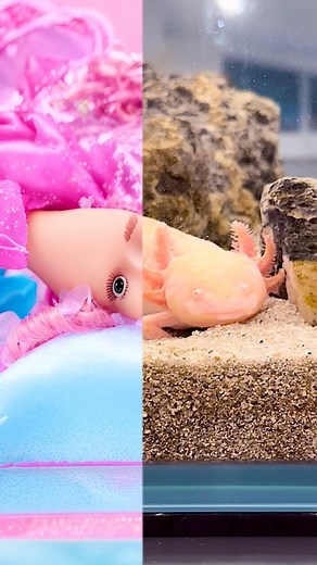 Follow @emilywithanimals on IG for more 🩷 #axolotl #barbiegirl #aifilter #animals | Emily With Animals