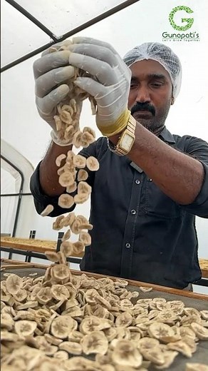 Banana slices drying and making banana powder #dehydration #solardryer #dryer #valueaddition