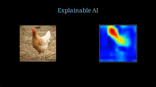 可解释人工智能详解：Grad-CAM 技术解析（一）