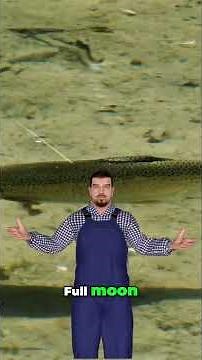 September 2025 Solunar Tables Peak Wildlife Activity for Fishing Hunting & Photography #shorts