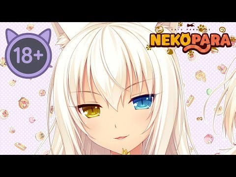Beautiful Cat with Homophobia💛🩵 - Nekopara Cats Paradise Vol.1 [#5]