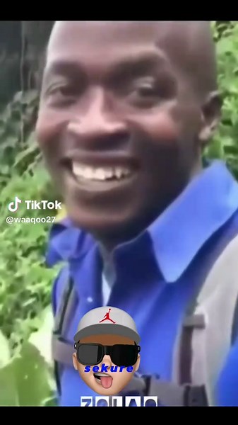 sekure meme on TikTok