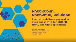 Knockdown, Knockout, Validate: Lentivirus delivers payload in vitro and in vivo for CRISPR RNAi, and ORF applications