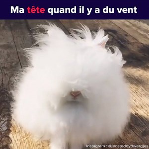 Les filles aux cheveux bouclés comprennent ce calvaire | bestie, le média