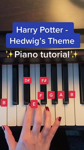 Hedwig’s Theme ✨Piano tutorial✨ #piano #music #art #coversong #cover #рекомендации #pianotutorial #harrypotter