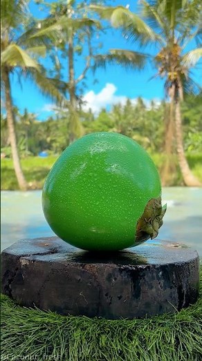 Honey-Sweet Flavor from a Perfectly Green Coconut