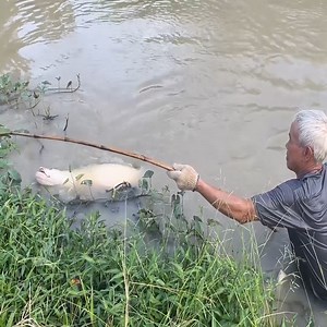 22M views · 10K reactions | Most Incredible Fishing Technique vs. Massive Dragon Fish Full video: https://www.youtube.com/watch?v=AON-nsDYOrk | Emma's Fishing | Facebook
