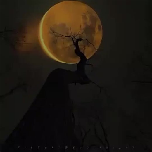 Quran tutor (@qurantutor24)’s videos with original sound - Quran tutor