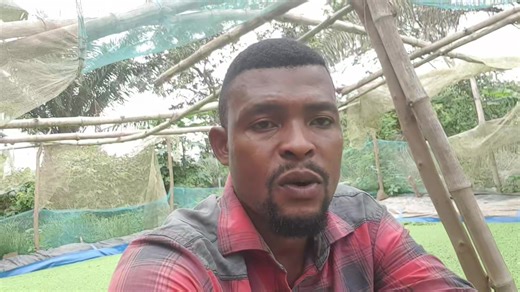 #fishfarming #pigfarming #poultryfarming #agribusiness #rabbitfarming #agriculture | Israel Aborchie