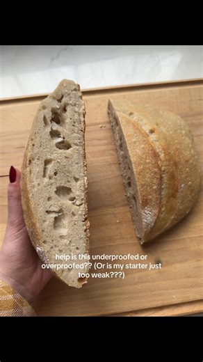 Sourdough Bread Baking Troubleshooting Tips