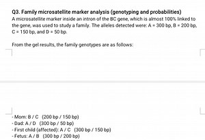 Q3. Family microsatellite marker analysis (genotyping and proba... | Filo